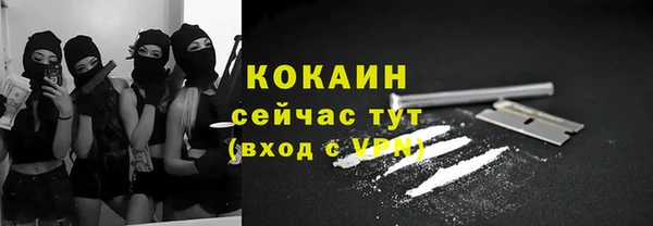 молекула духа Горно-Алтайск