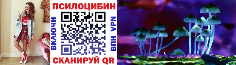 Псилоцибиновые грибы мицелий  Купить  Клин 