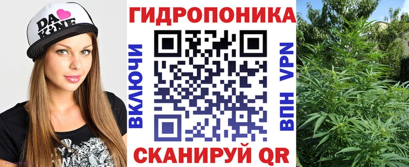 Купить где  Клин  Марихуана ГИДРОПОН 